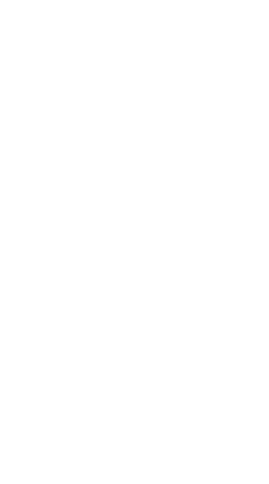 Mic